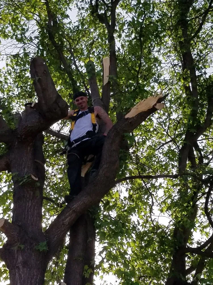 Local outdoor landscaping for year-round maintenance in Manteca, CA by Crabbush landscaping and Hauling