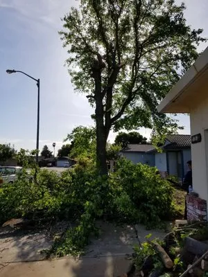 Crabbush landscaping and Hauling Logo