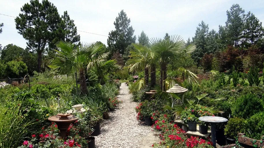 Top-rated lawn mowing service experts serving Elgin, SC - Crabtree Garden Center & Landscaping