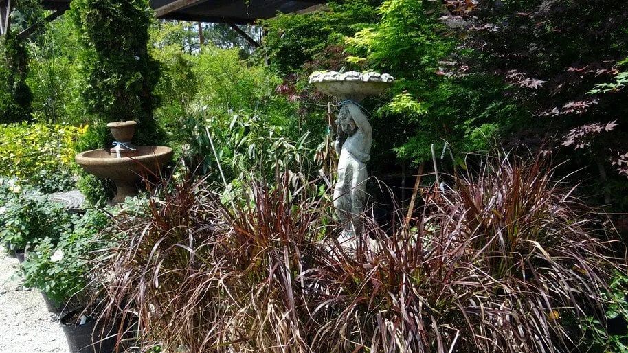 Local residential landscaping for beautiful yards across Elgin, SC - Crabtree Garden Center & Landscaping