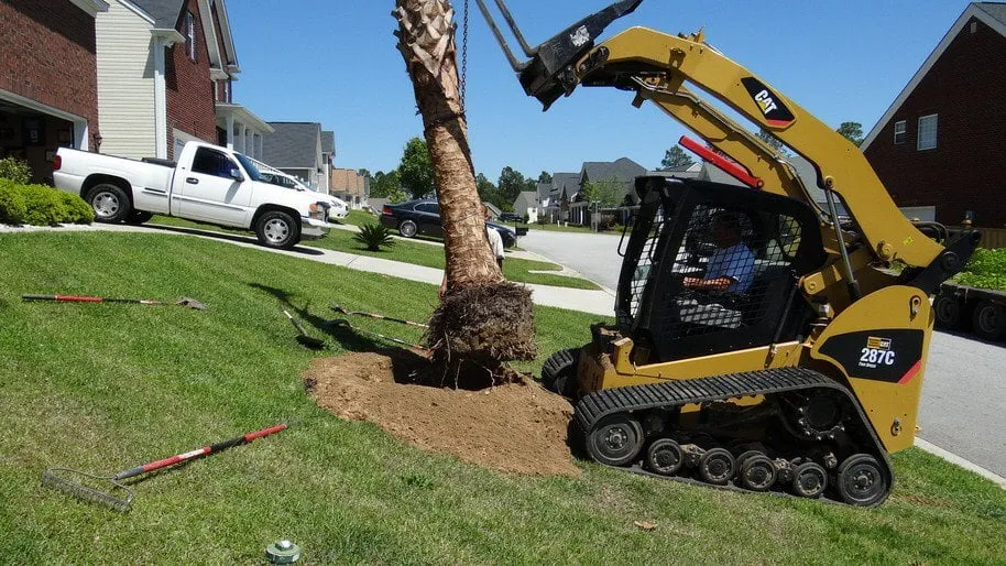 Local garden landscaping for year-round maintenance across Elgin, SC - Crabtree Garden Center & Landscaping