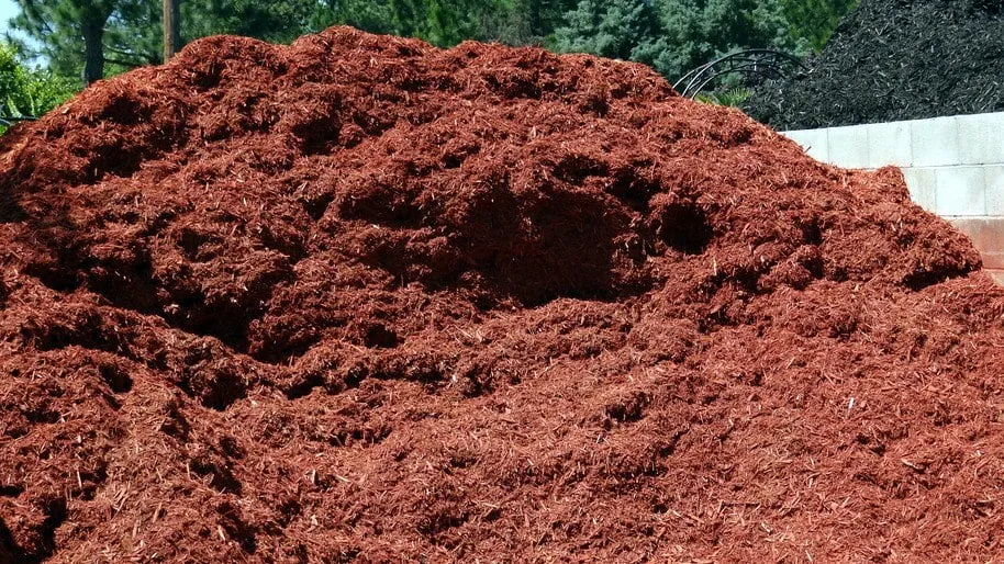 Custom landscape installation in Elgin, SC by Crabtree Garden Center & Landscaping