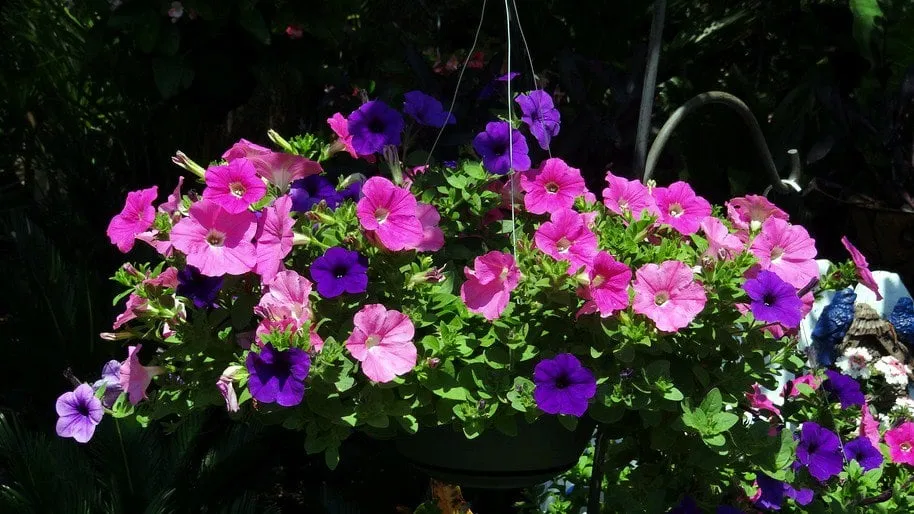 Reliable residential landscaping for outdoor upgrades in Elgin, SC by Crabtree Garden Center & Landscaping