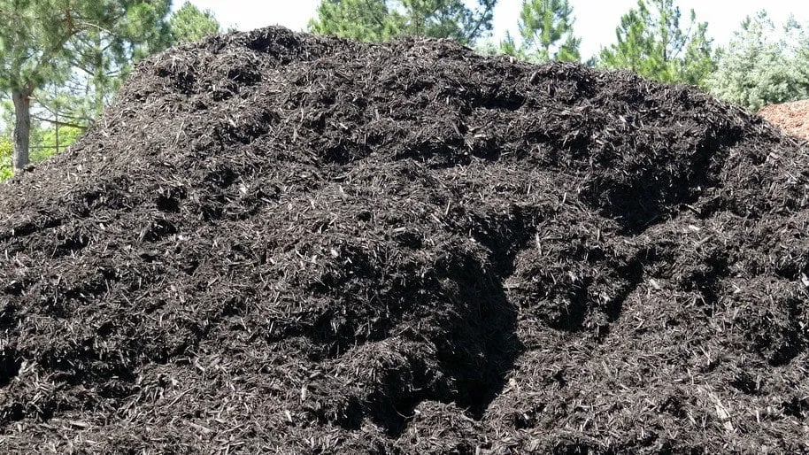 Trusted landscaping services in Elgin, SC - Crabtree Garden Center & Landscaping