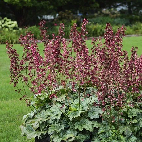 Expert landscape installation experts serving Midlothian, TX - Crabtree's Custom Landscaping