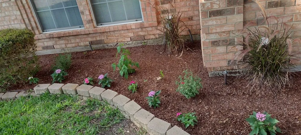 Reliable lawn mowing service for year-round maintenance in Midlothian, TX by Crabtree's Custom Landscaping