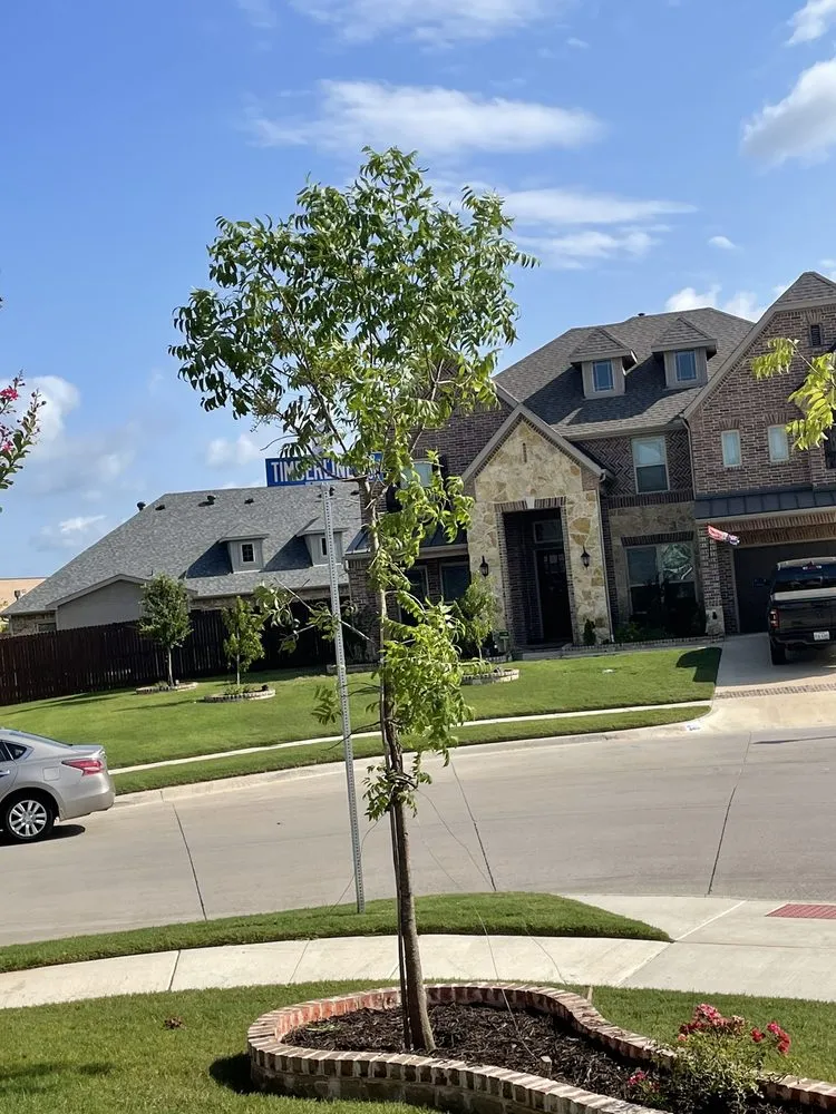 Local residential landscaping with custom design in Midlothian, TX by Crabtree's Custom Landscaping