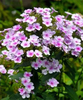 Crabtree's Custom Landscaping