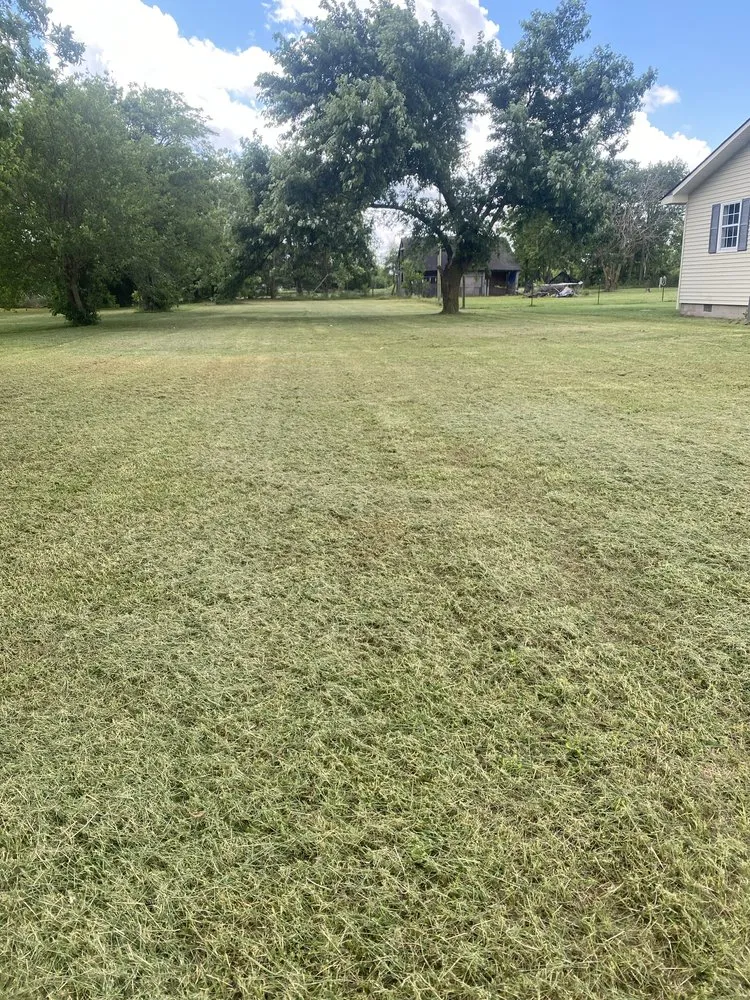 Expert residential landscaping in Blodgett, MO - Crader Cuts
