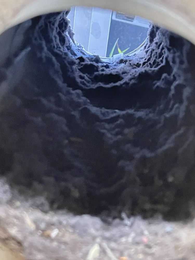 Affordable residential landscaping in St. Petersburg, FL - Craft Co Enterprises