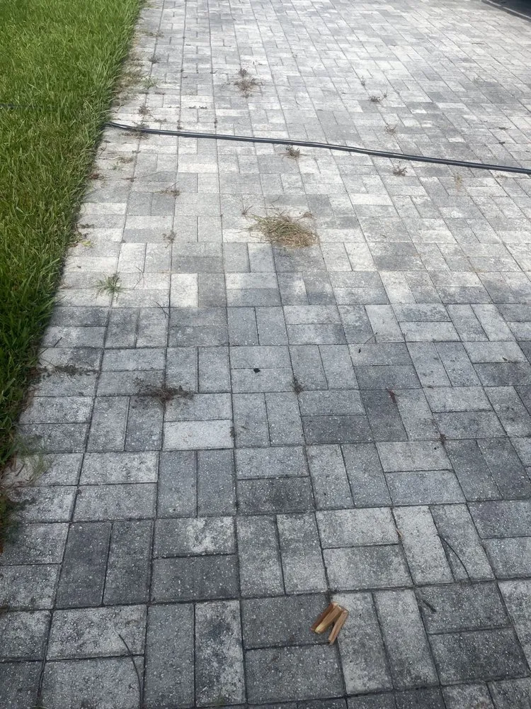 Top-rated lawn mowing service with custom design in St. Petersburg, FL by Craft Co Enterprises