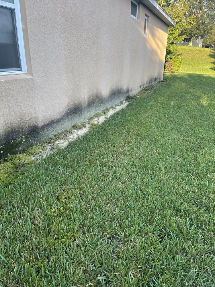 Expert residential landscaping with custom design in St. Petersburg, FL by Craft Co Enterprises