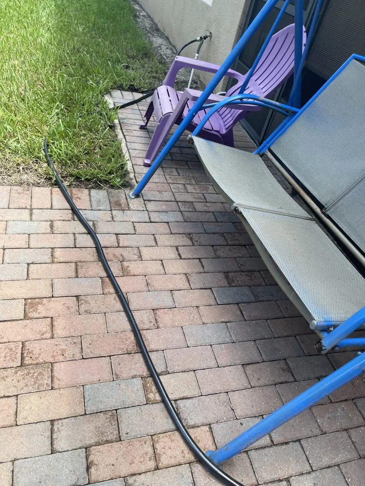 Custom yard cleanup service for year-round maintenance in St. Petersburg, FL by Craft Co Enterprises