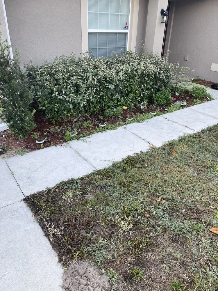 Top-rated yard maintenance with custom design across St. Petersburg, FL - Craft Co Enterprises