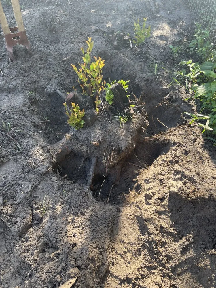 Custom residential landscaping in St. Petersburg, FL - Craft Co Enterprises