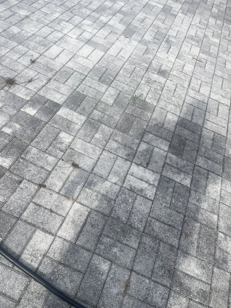 Expert yard maintenance in St. Petersburg, FL by Craft Co Enterprises