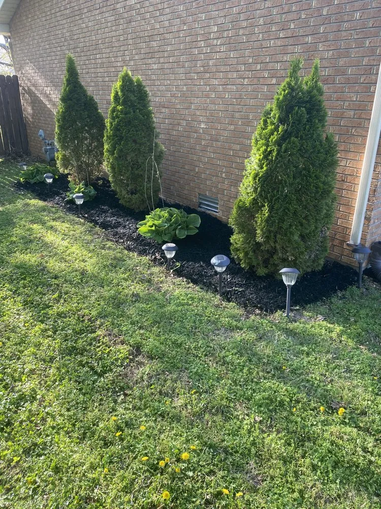 Reliable lawn care service in Sikeston, MO - Craft Lawn Care