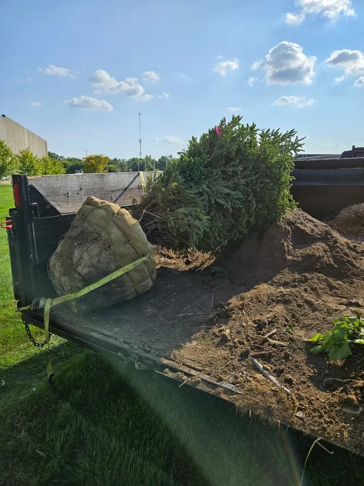 Top-rated yard cleanup service for residential properties across Pleasant Lake, MI - Craft Property Maintenance