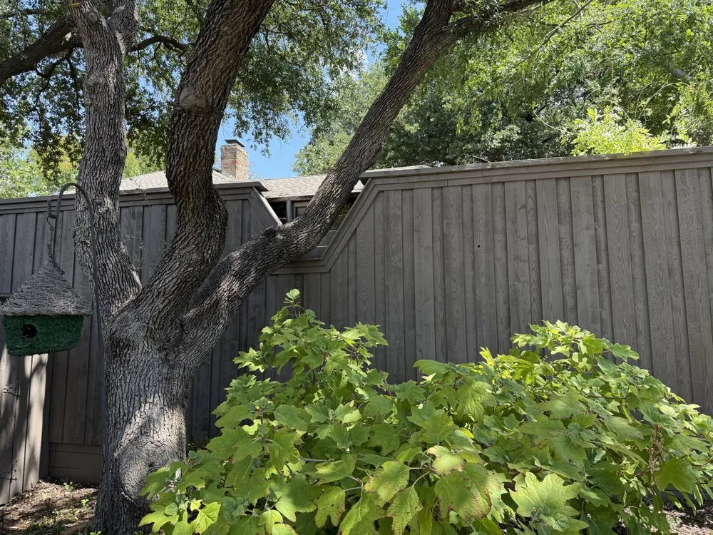 Reliable garden landscaping with custom design across Dallas, TX - Craftsman Fence & Deck