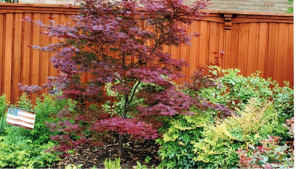 Top-rated landscape installation in Dallas, TX by Craftsman Fence & Deck