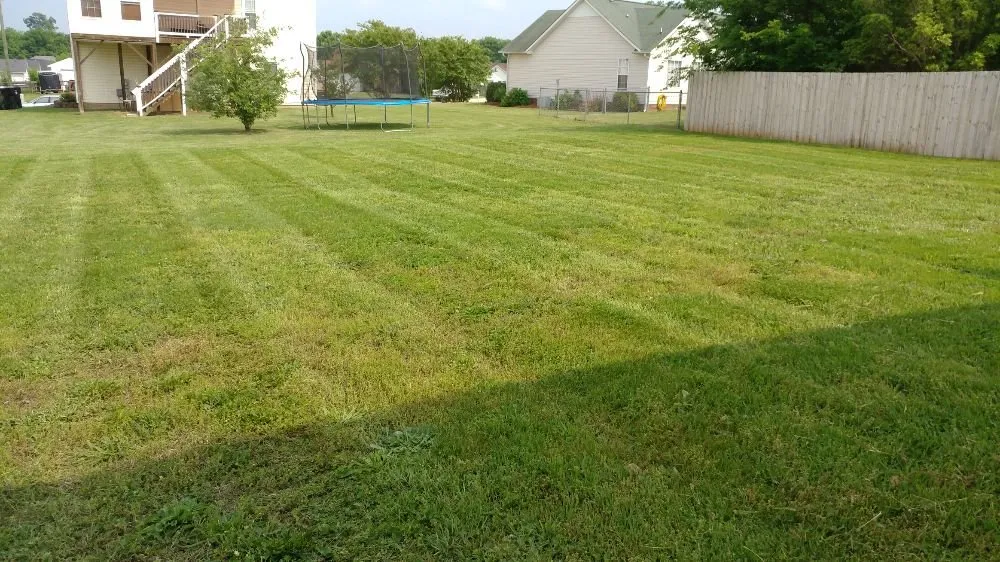 Affordable landscape installation for outdoor upgrades in Locust, NC by Cragan's Quality Lawn Care
