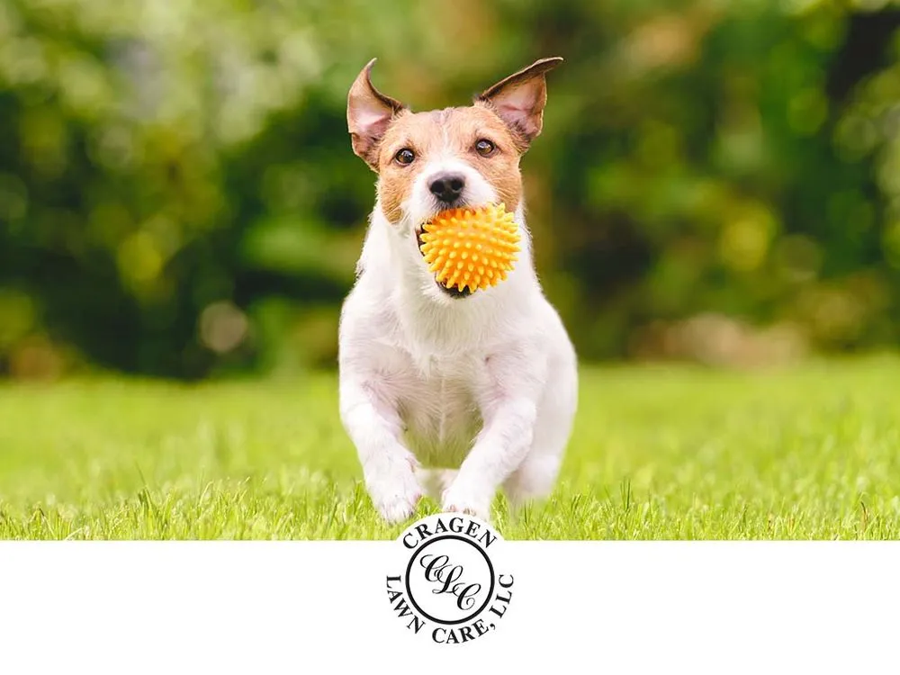 Local landscaping services for residential properties across Greenwood, IN - Cragen Lawn Care