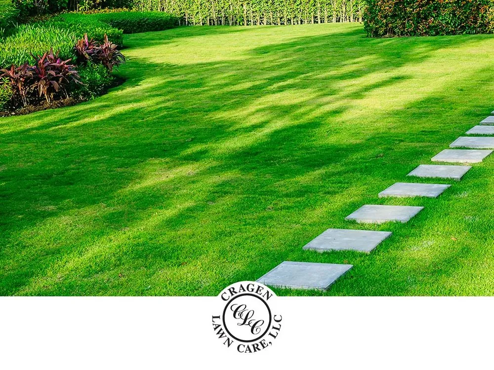 Local yard cleanup service experts serving Greenwood, IN - Cragen Lawn Care