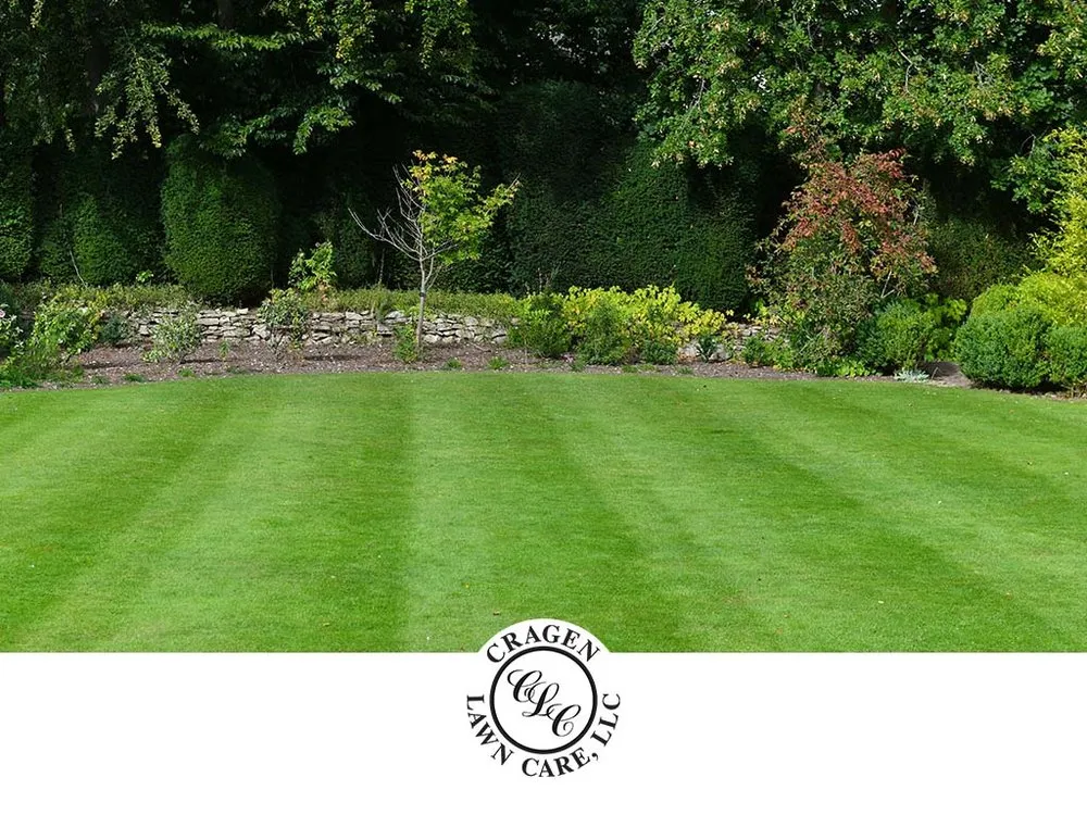 Affordable yard cleanup service for homes across Greenwood, IN - Cragen Lawn Care