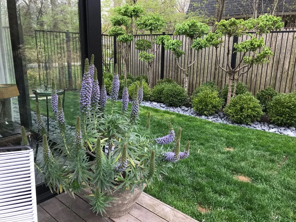 Professional landscaping services for outdoor upgrades across Lake Forest, IL - Craig Bergman