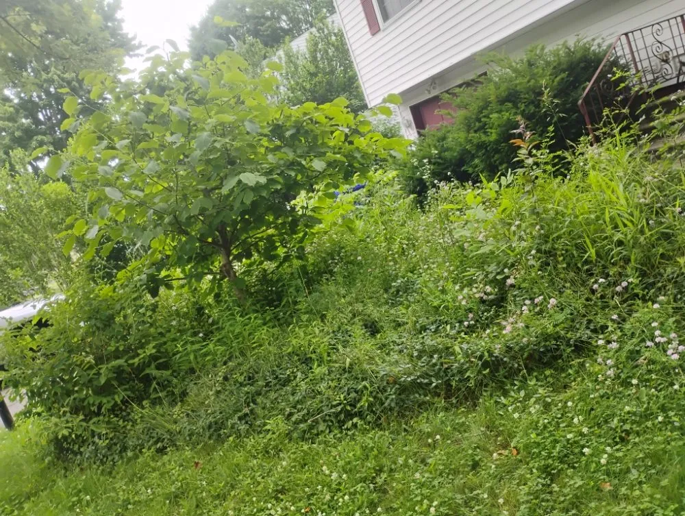 Reliable landscape design with custom design across Statesville, NC - Craig Eisenhauer