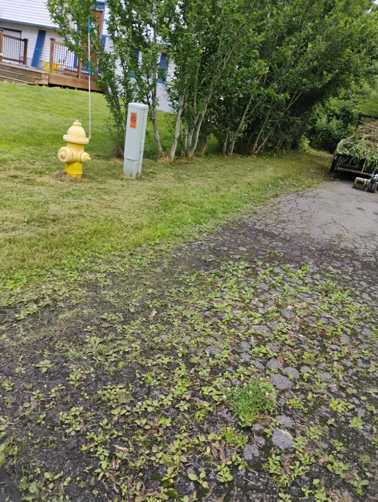 Top-rated lawn mowing service for homes across Statesville, NC - Craig Eisenhauer