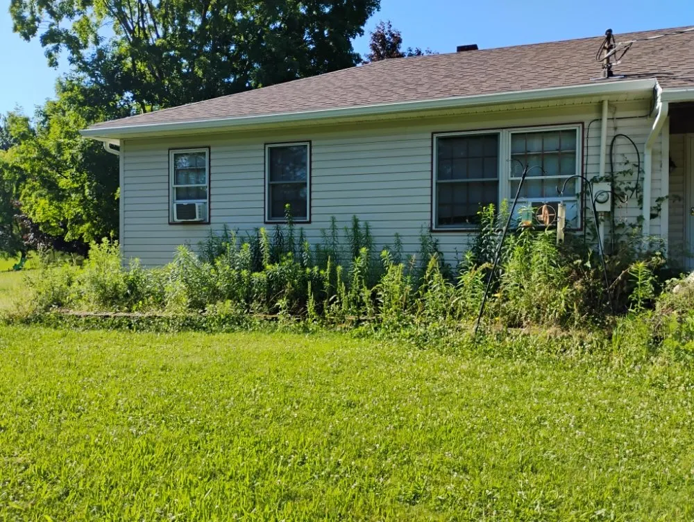 Affordable yard cleanup service experts serving Statesville, NC - Craig Eisenhauer