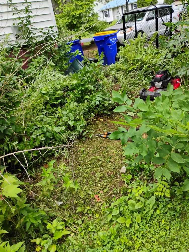 Affordable yard maintenance in Statesville, NC - Craig Eisenhauer