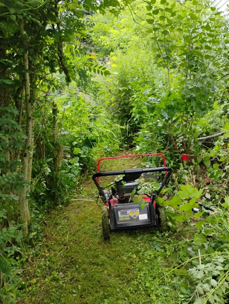 Trusted lawn mowing service experts serving Statesville, NC - Craig Eisenhauer