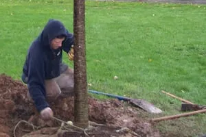 Trusted lawn care service for year-round maintenance across Rhinebeck, NY - Craig Kurkela Arborist