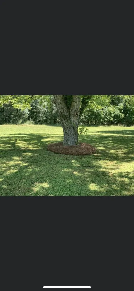 Expert outdoor landscaping in Perry, GA by Craig Lawn Service