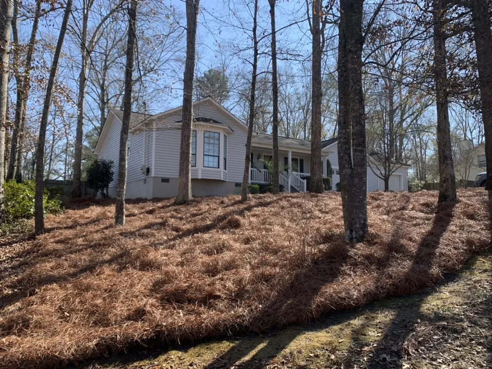 Professional outdoor landscaping experts serving Perry, GA - Craig Lawn Service