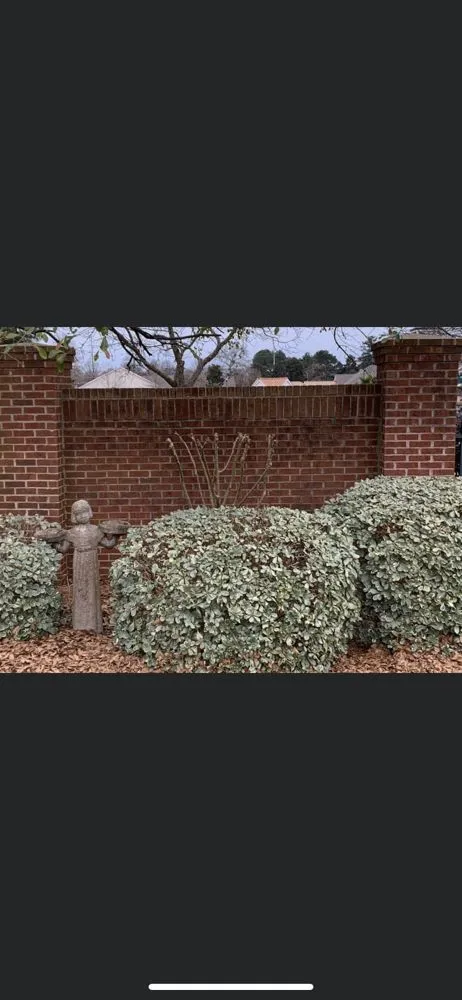 Local residential landscaping in Perry, GA - Craig Lawn Service