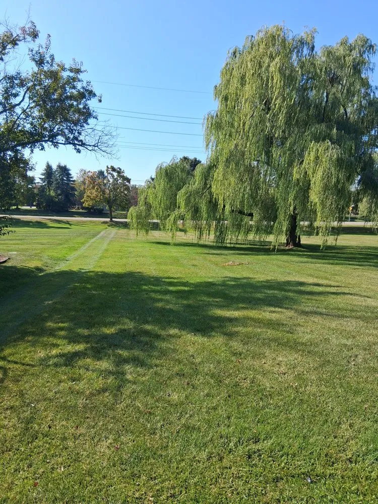Local yard cleanup service in Belleville, MI - Craig Property Management