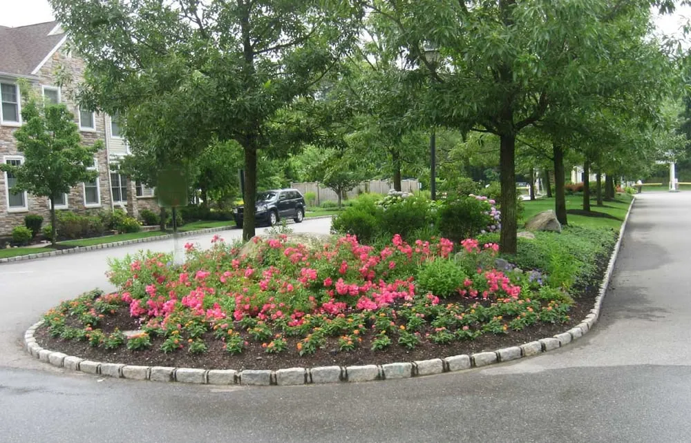 Local landscape design with custom design in Silver Spring, MD by Craig Richmond Landscape Architects