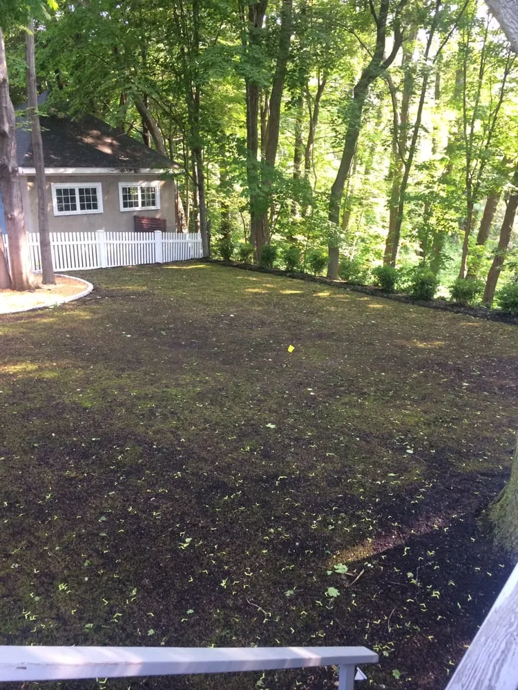 Trusted yard maintenance for year-round maintenance across Arlington, MA - Craig's Landscaping