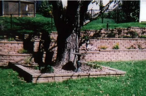 Affordable lawn care service for homes across Bellevue, NE - Craig's Landscaping