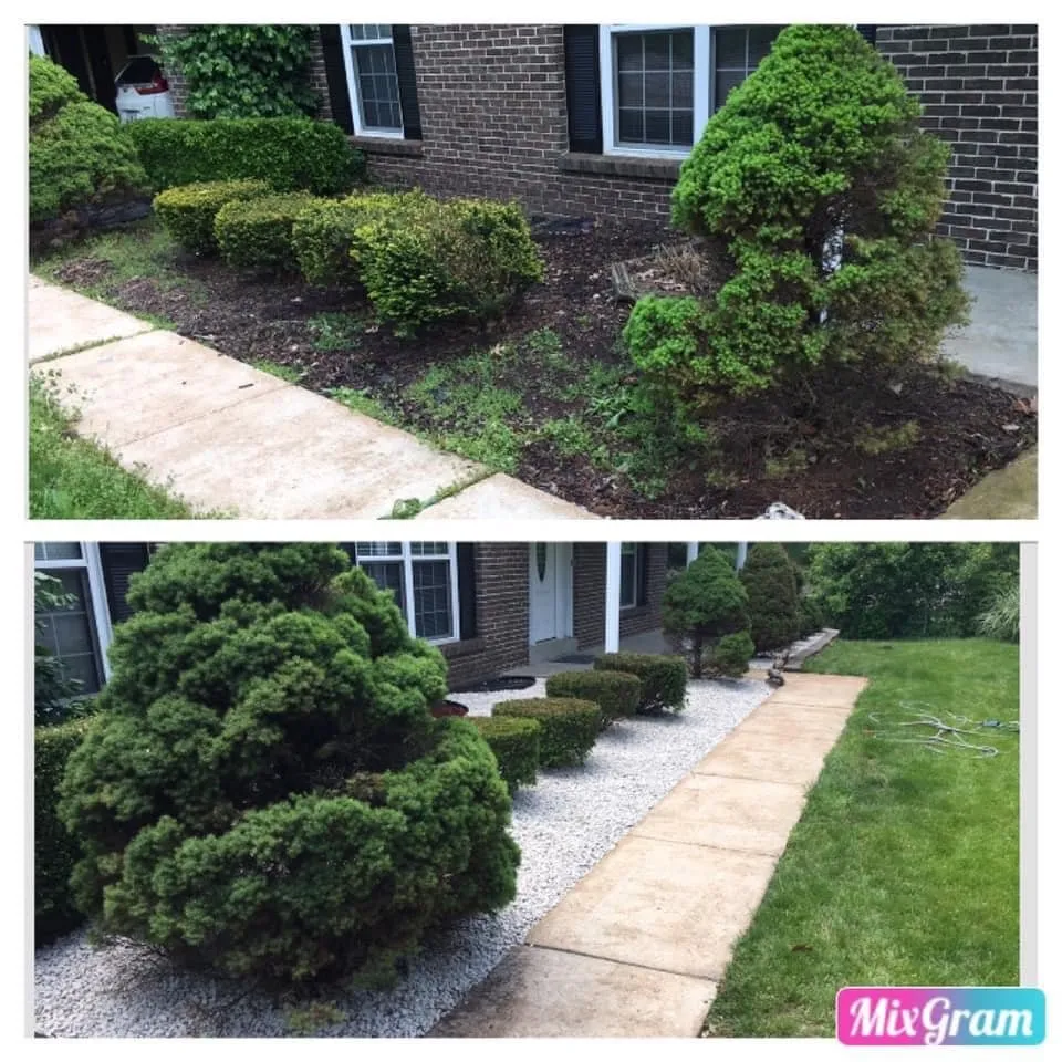 Top-rated landscaping services near you across Foley, MO - Craigs Lawn Care & Landscape