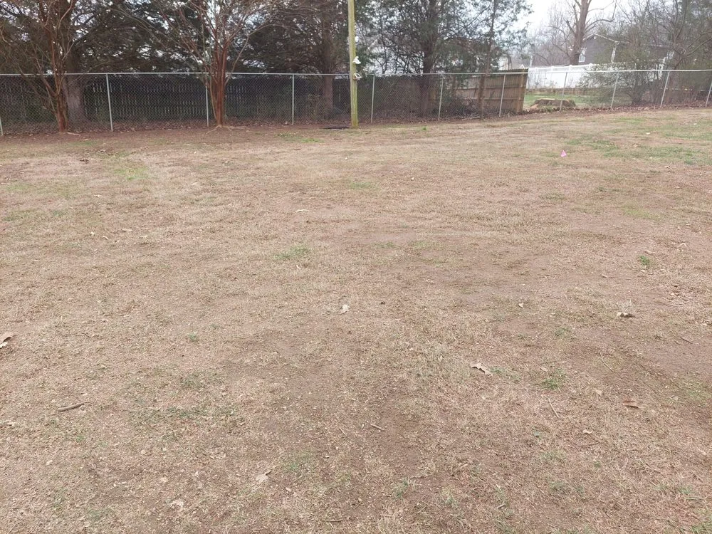 Custom outdoor landscaping for beautiful yards across Cleveland, TN - Craig's Lawn Care