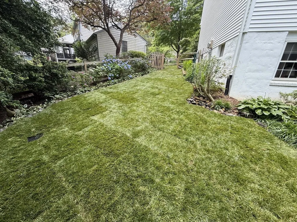 Trusted lawn care service in Fairfax, VA by Craig's Lawn Care