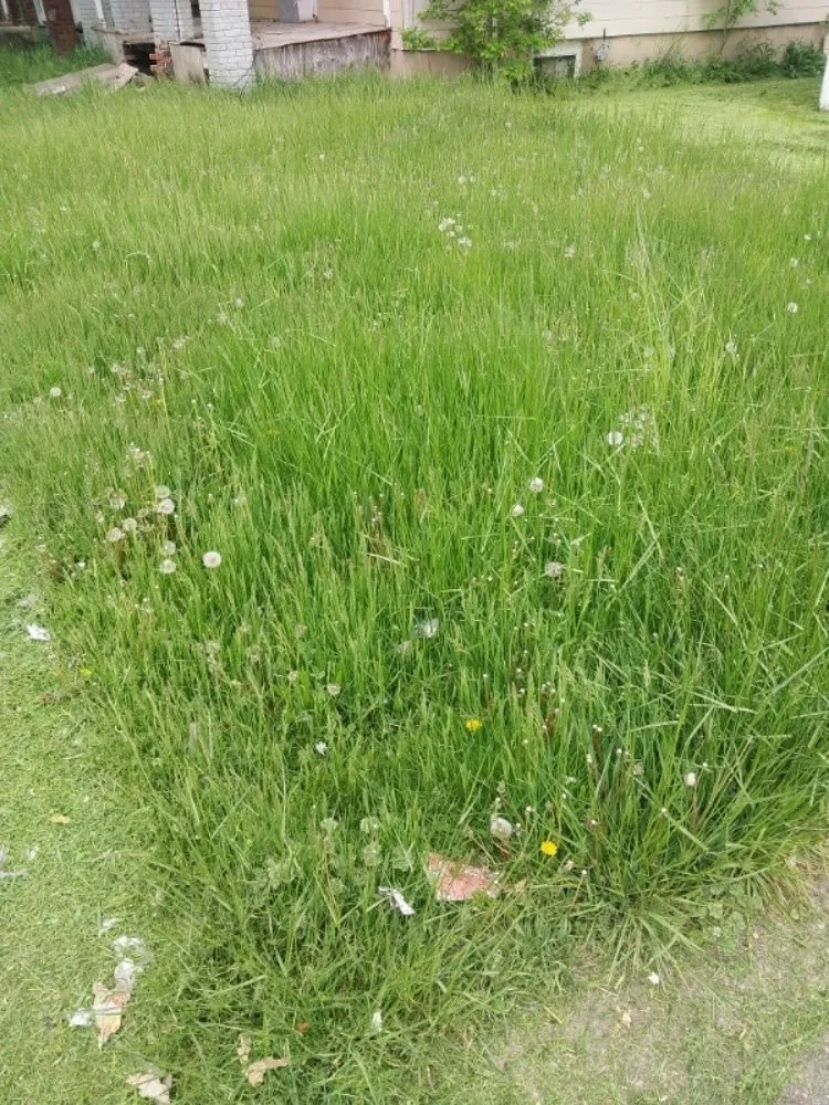 Reliable yard maintenance for outdoor upgrades in Niagara Falls, NY by Craig's lawn care service