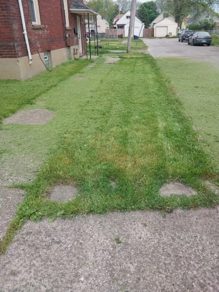 Expert residential landscaping for beautiful yards across Niagara Falls, NY - Craig's lawn care service