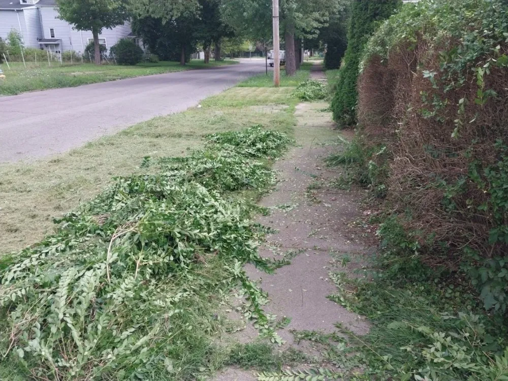 Top-rated lawn care service in Niagara Falls, NY - Craig's lawn care service