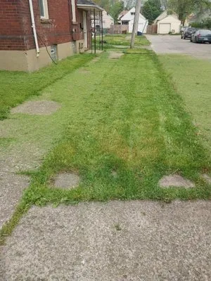 Craig's lawn care service Logo