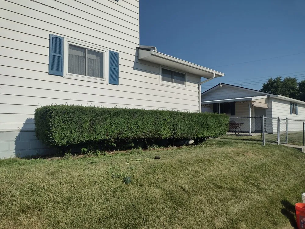 Top-rated yard cleanup service in Springfield, OH by Craig's Lawncare and Landscaping